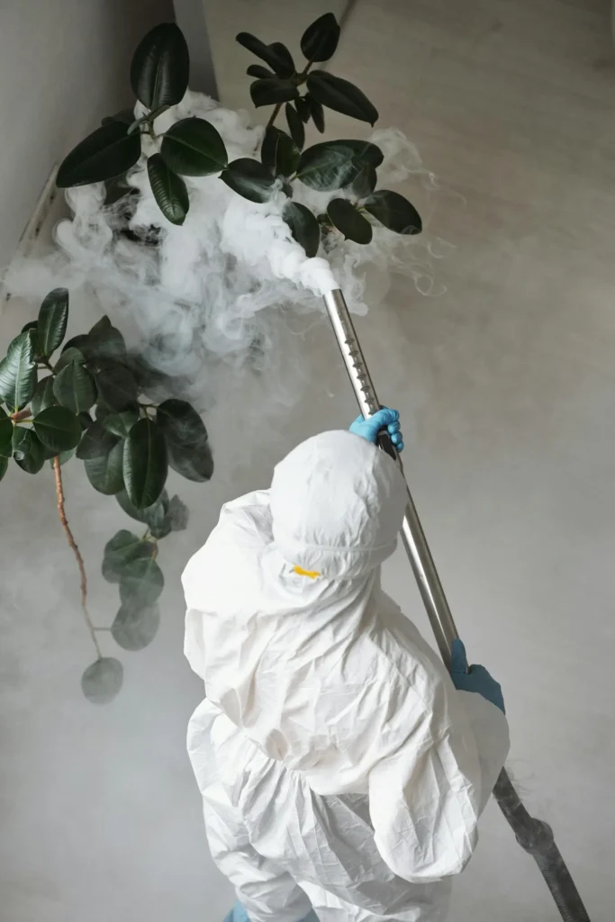 Trusted Pest Control - Queensbury Pest Control Pros | Queensbury, NY | 914-229-9316