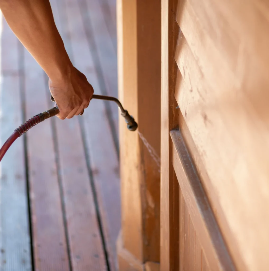 Trusted Pest Control - Queensbury Pest Control Pros | Queensbury, NY | 914-229-9316